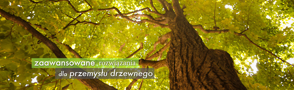 pzi.net.pl - maszyny do obróbki drewna